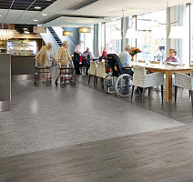 Forbo Eternal Material 12762 smoke cement фото 2 | FLOORDEALER